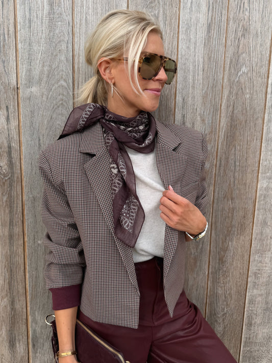 Frances Blazer